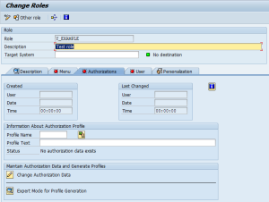 Role and its Authorizations